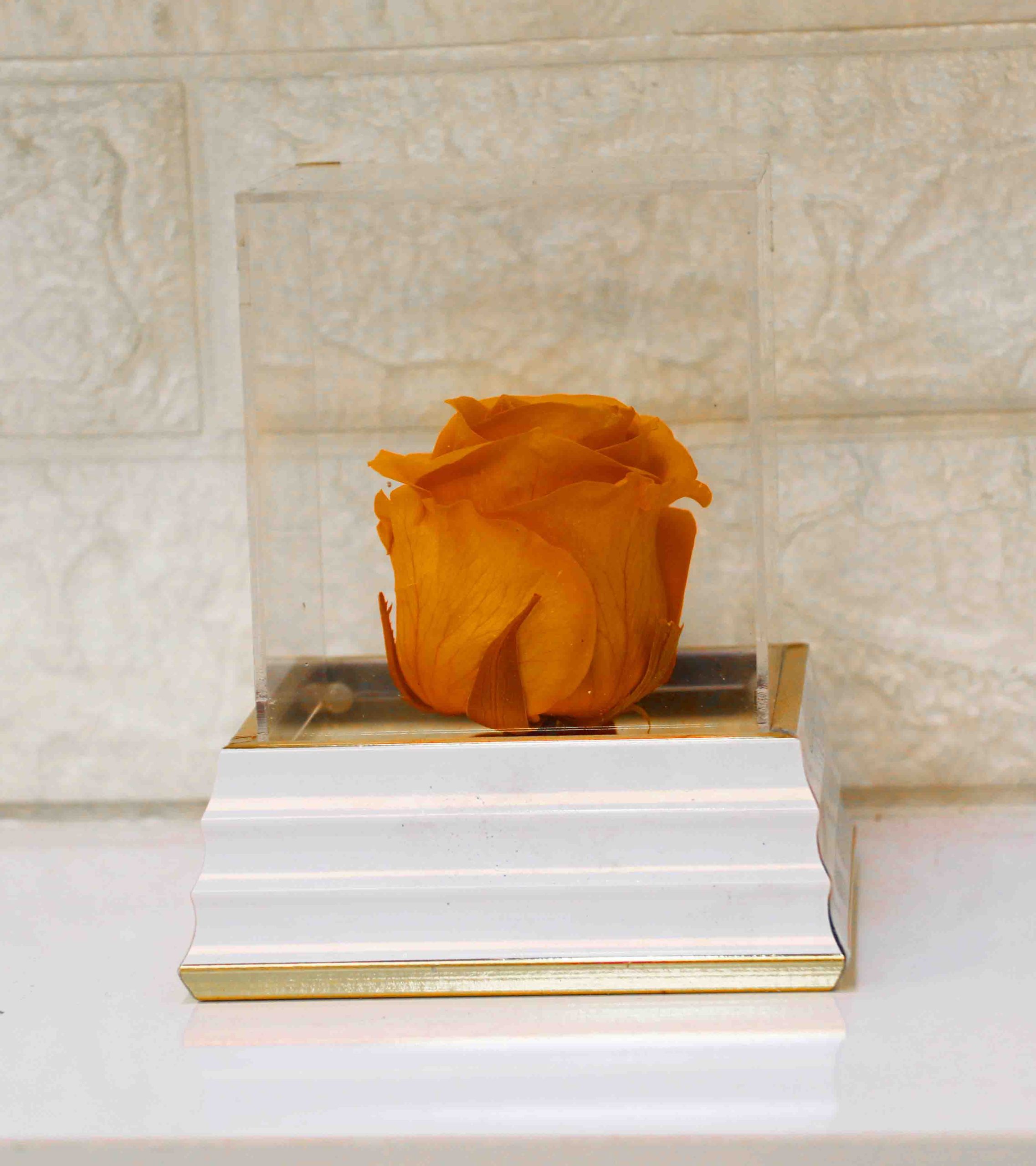 رز جاودان نارنجی